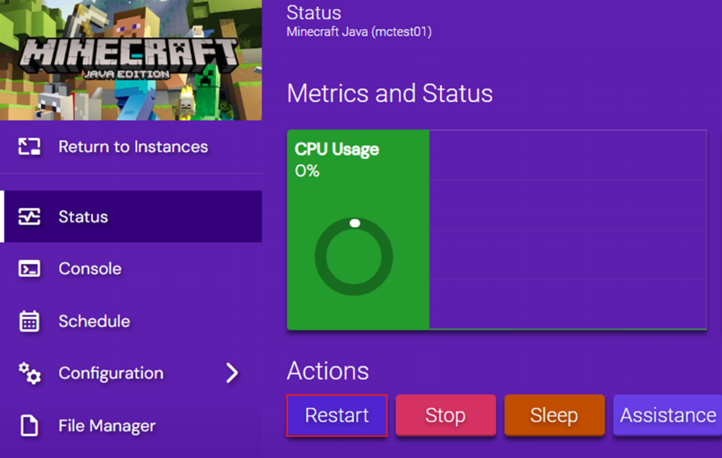 Game Panel Minecraft Instance view focused on server control options