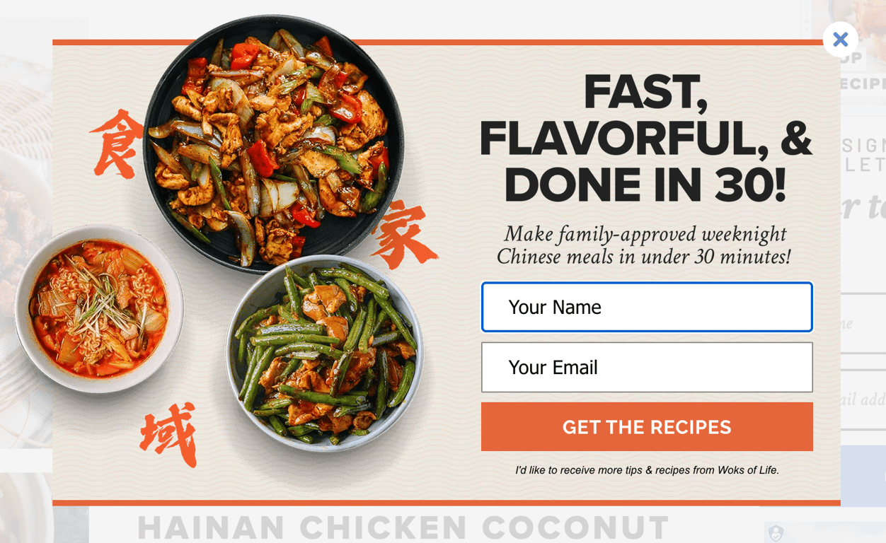 Woks of Life's lead magnet pop up