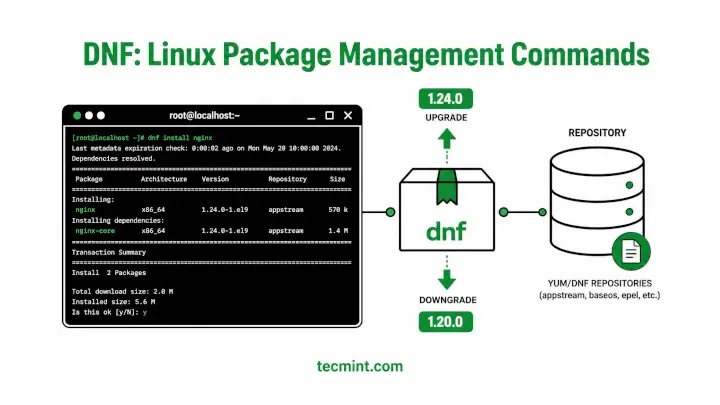 20 DNF Commands Every Linux Administrator Should Know